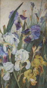 Irises