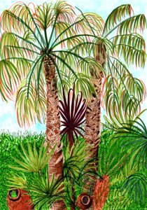 Barcelona Palms by Charlotte Orr