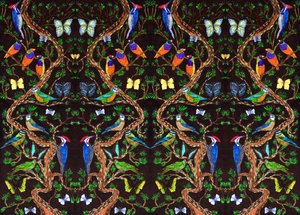 Birds and Butterflies, 2019 by Charlotte Orr