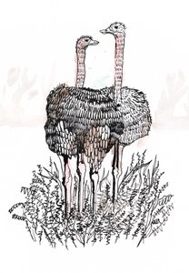 Flamingos, 2018 by Charlotte Orr