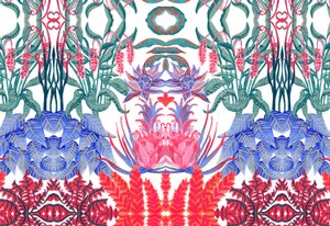 Jungle Jim, 2015 by Charlotte Orr