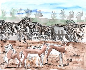 Safari 3