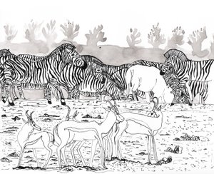 Safari 3, 2018