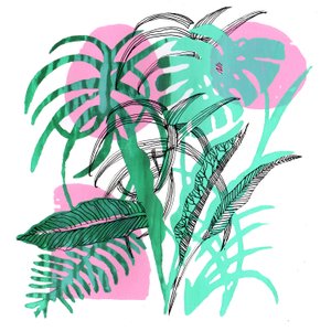 Tropical Plants, 2018 by Charlotte Orr