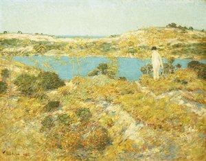 Dune Pool