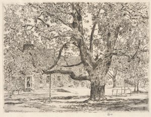 The Big Horse Chestnut Tree, Easthampton by Childe Hassam