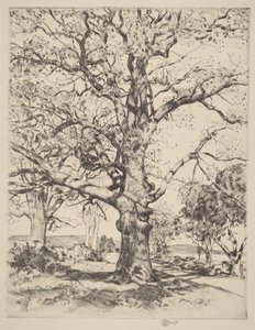 Wayside Inn—Oaks in Spring by Childe Hassam
