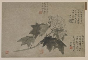 A Branch of Wood Peony, Possibly Qing Dynasty