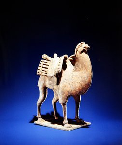 Camel, Mid to Late 6th Century, Northern Wei-Northern Qi Dynasty