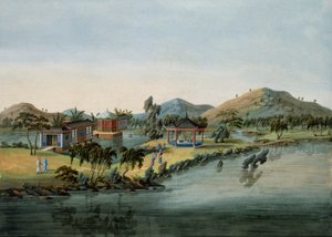 Garden Scene, c.1820-40 by Chinese School