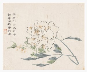 Mustard Seed Garden by Chinese School
