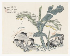 Mustard Seed Garden by Chinese School
