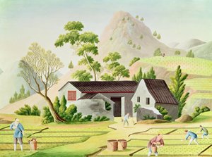 Peasants in the Paddy Fields