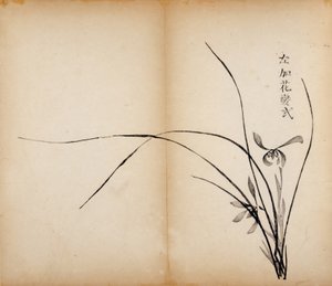 Ten Bamboo Studio Prints by Chinese School