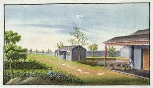 Tending tea plants by Chinese School