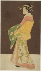 A Selection of Beauty from the Pleasure Quarters: Hanamurasaki of the Tamaya in Procession