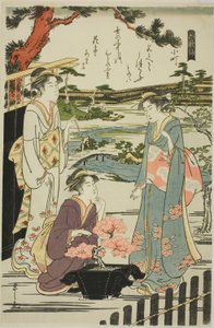 Komachi, from the series 
