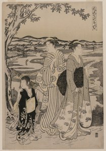 Omu the Parrot (from the series Seven Elegant Episodes from the Life of the Poetess Ono no Komachi) by Chobunsai Eishi