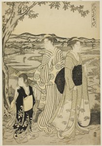 Parrot Komachi, from the series The Fashionable Seven Komachi