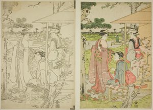 Viewing Cherry Blossoms from a Teahouse on Asuka Hill