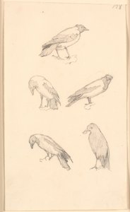 Crows by Christen Købke