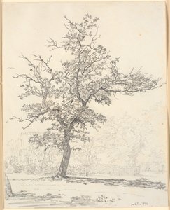 Part of a Garden