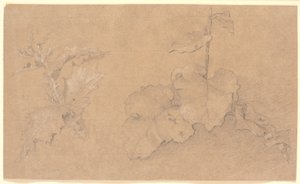Plant Studies by Christen Købke
