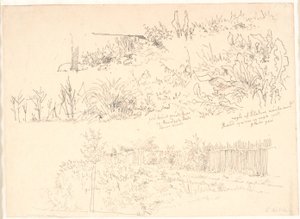 The Path Along the Lakes. Various Plant Studies and Notes Regarding Them by Christen Købke