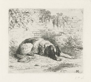 Lying Dog in Front of a Wall by Christiaan Wilhelmus Moorrees