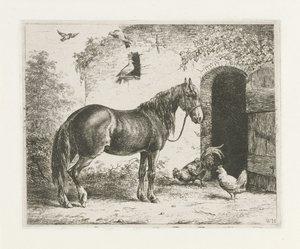 Horse with Halter