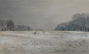 Deer in the Snow - Richmond Park, 2015