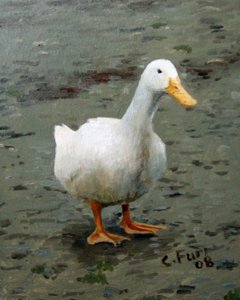 Goose by Christian Furr