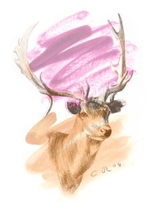 Stags Head - Cerise Sienna