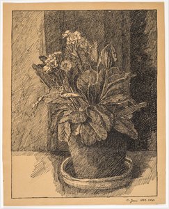 Flowerpot with Primula by Christian Kongstad Petersen