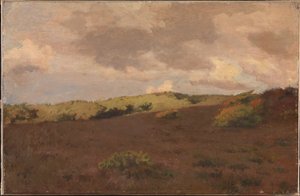 Heathland. Autumn
