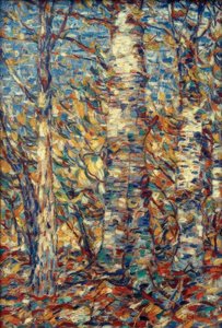 Birch Forest