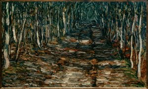 Forest Path to Erling