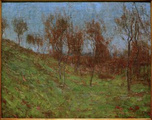 Meadow Slope