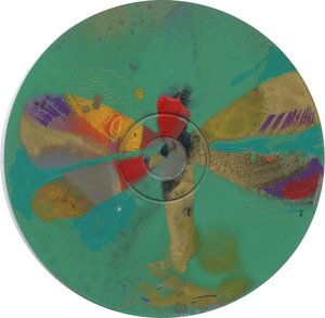 Dragonfly by Christina Saj