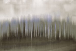 Blurred Forest Reflection by Christina Sillen