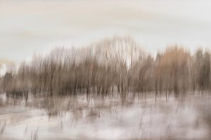 Blurred Forest Reflection by Christina Sillen