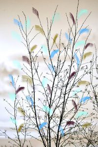 Colorful Abstract Branches