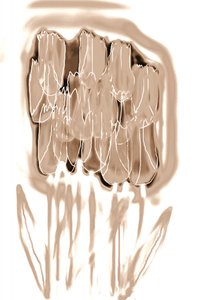 Delicate Sepia Flowers by Christina Sillen