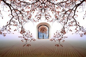 Dreamy Autumn Archway