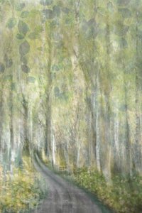 Dreamy Forest Path by Christina Sillen