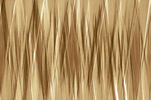 Dynamic Golden Streaks by Christina Sillen