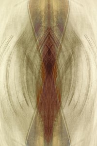 Earthy Flowing Symmetry by Christina Sillen