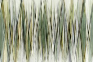 Earthy Geometric Lines by Christina Sillen