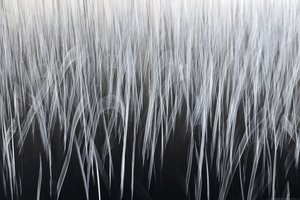 Ethereal Vertical Lines by Christina Sillen