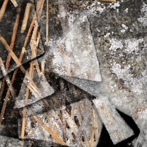 Frozen Reeds and Ice by Christina Sillen